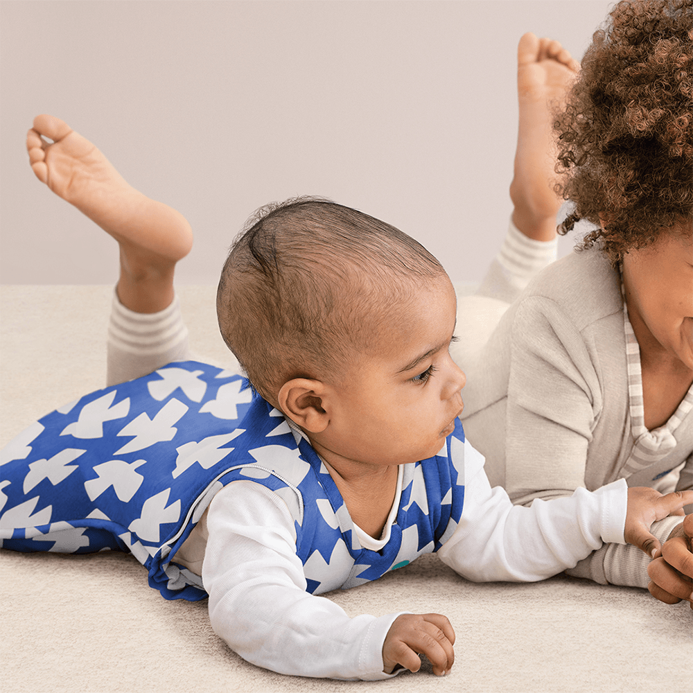 Swaddle Up™ Transition Bag 1.0 TOG Cobalt - Paperbirds - Image 4