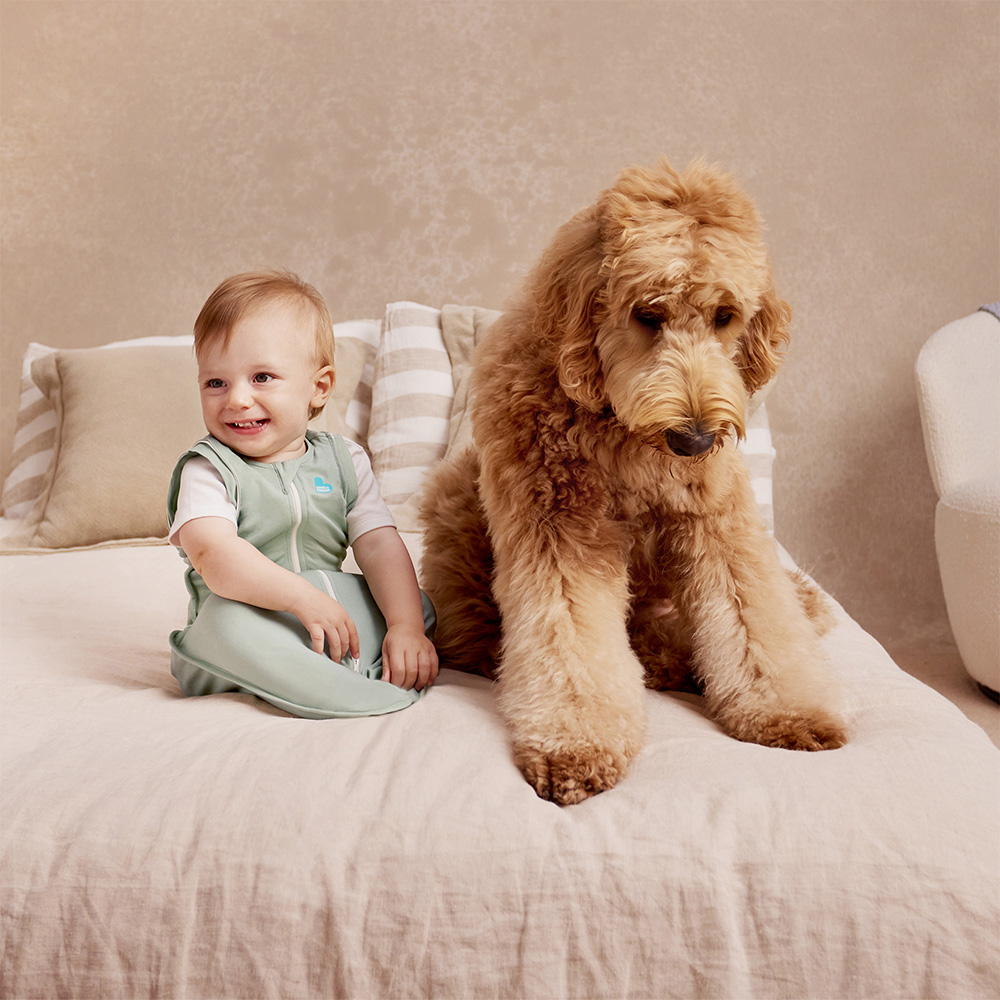 Swaddle Up™ Transition Bag Lite 0.2 TOG – Olive - Image 7